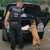 Polizeibeamter mit Drogenspürhund